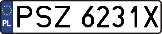 PSZ6231X