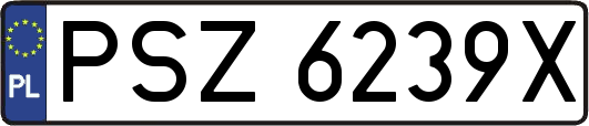 PSZ6239X