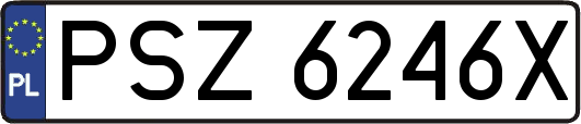 PSZ6246X