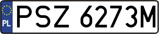 PSZ6273M