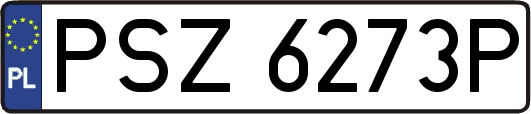 PSZ6273P