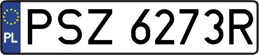PSZ6273R