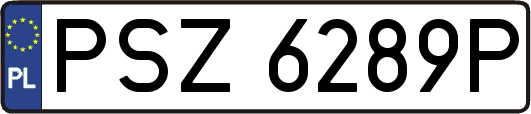 PSZ6289P