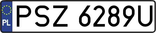 PSZ6289U