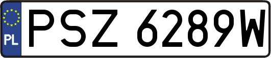 PSZ6289W