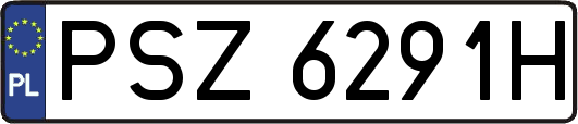 PSZ6291H