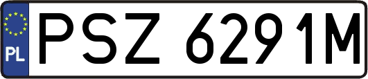 PSZ6291M