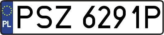 PSZ6291P