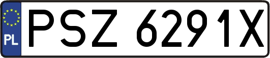 PSZ6291X