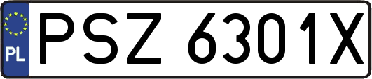 PSZ6301X