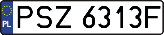 PSZ6313F