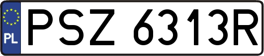 PSZ6313R