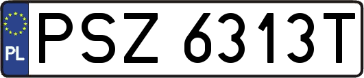 PSZ6313T