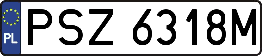 PSZ6318M