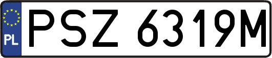 PSZ6319M