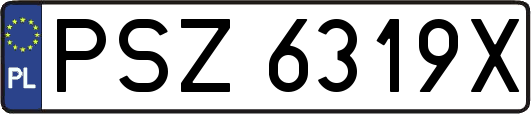 PSZ6319X