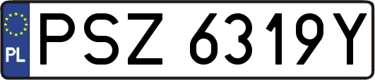 PSZ6319Y