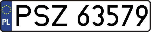 PSZ63579