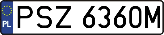 PSZ6360M