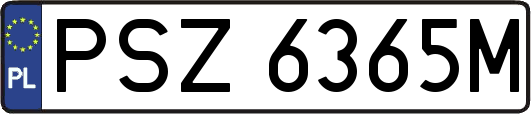 PSZ6365M
