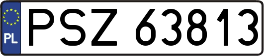 PSZ63813