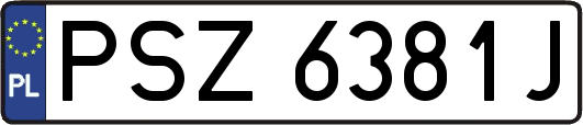PSZ6381J