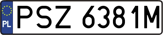 PSZ6381M