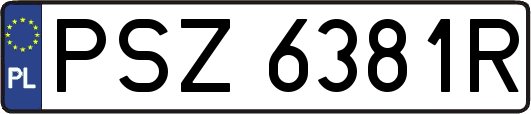 PSZ6381R