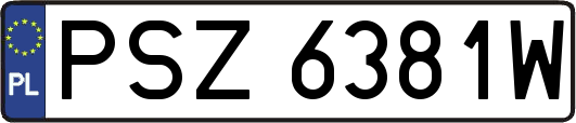 PSZ6381W