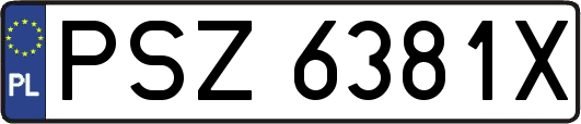 PSZ6381X