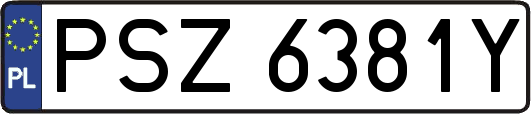 PSZ6381Y