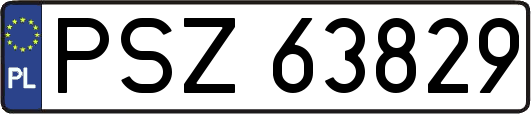 PSZ63829