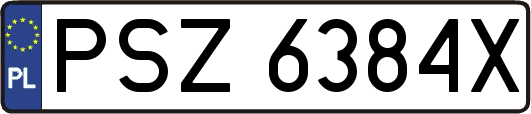 PSZ6384X