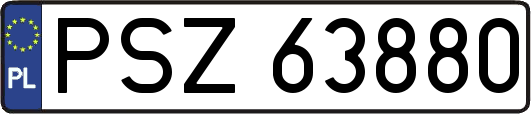 PSZ63880