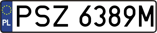PSZ6389M