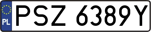 PSZ6389Y