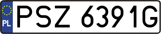 PSZ6391G