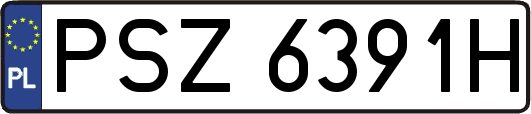PSZ6391H