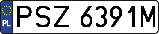 PSZ6391M
