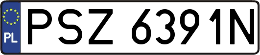 PSZ6391N