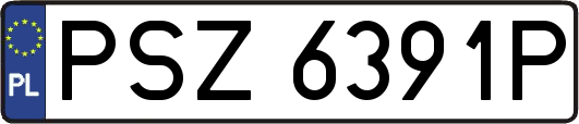 PSZ6391P