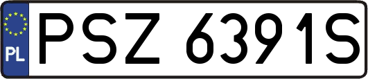 PSZ6391S