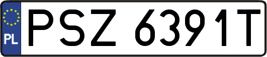 PSZ6391T
