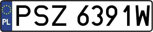 PSZ6391W