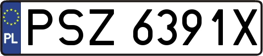 PSZ6391X