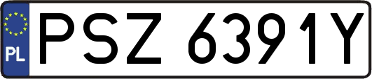 PSZ6391Y