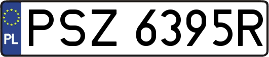 PSZ6395R