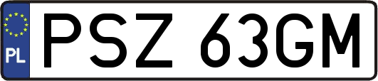PSZ63GM
