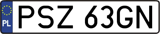 PSZ63GN