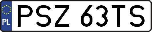 PSZ63TS